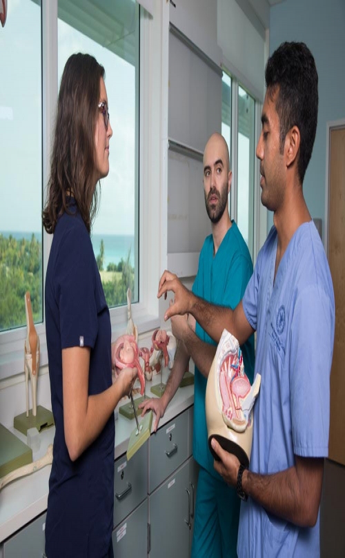 American University of the Caribbean School of Medicine